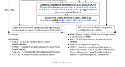 TMGC process part 3 of 3