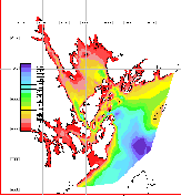 Image Topographique de Baie Passamquoddy